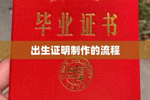 陆河出生证明制作的流程